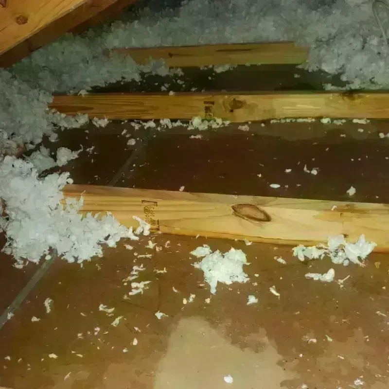 Attic Water Damage in Leisure Village West-Pine Lake Park, NJ